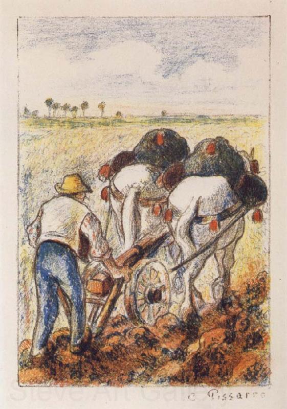 Camille Pissarro The ploughman Germany oil painting art